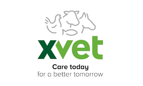 xvet500x300